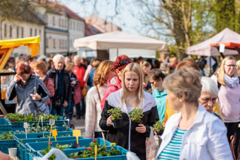 Farmáři kromě Nového Města a Žďáru jezdí už i do Bystřice Farmáři kromě Nového Města a Žďáru jezdí už i do Bystřice